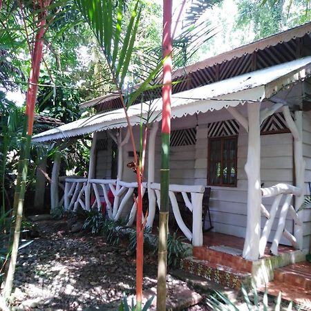 Bungalows Selva Y Mar Puerto Viejo de Talamanca Buitenkant foto