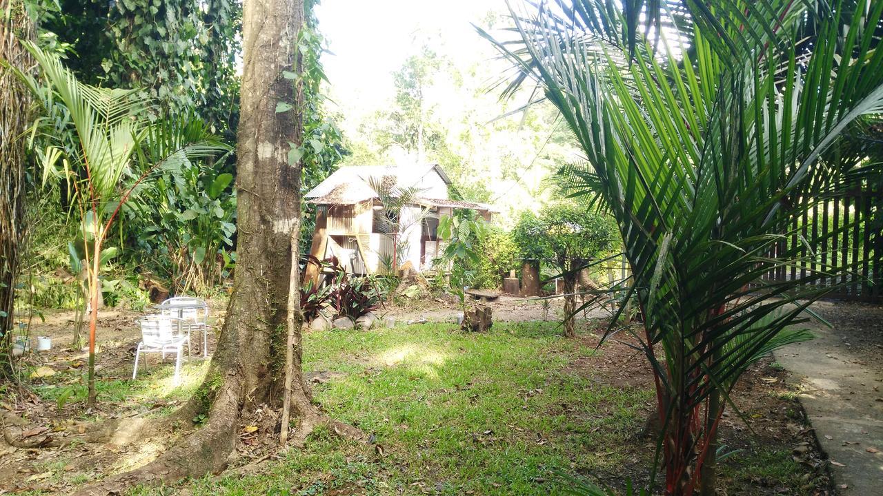 Bungalows Selva Y Mar Puerto Viejo de Talamanca Buitenkant foto